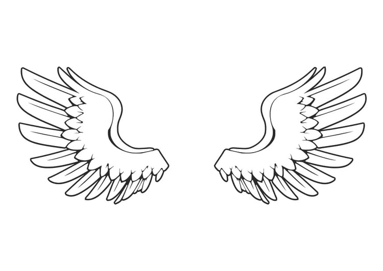 Coloring page wings