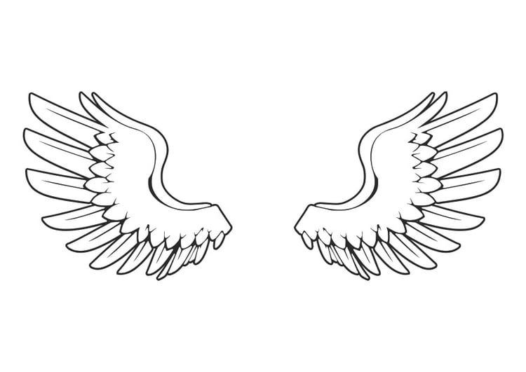 Coloring page wings