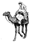 Coloring pages woman on camel