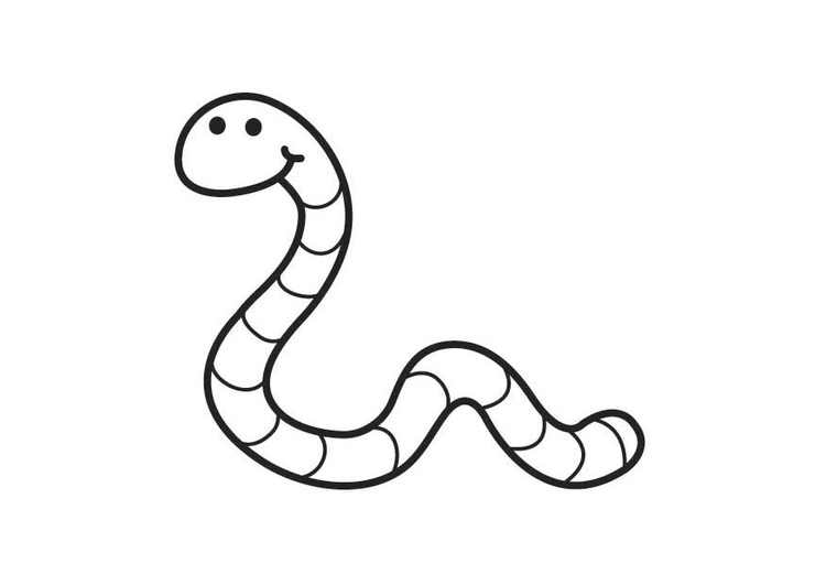 Coloring page Worm