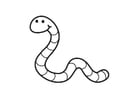 Coloring pages Worm