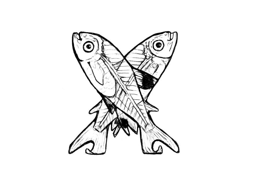 Coloring page x-x-ray fish
