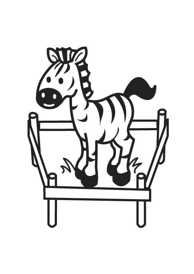 Coloring page Zebra