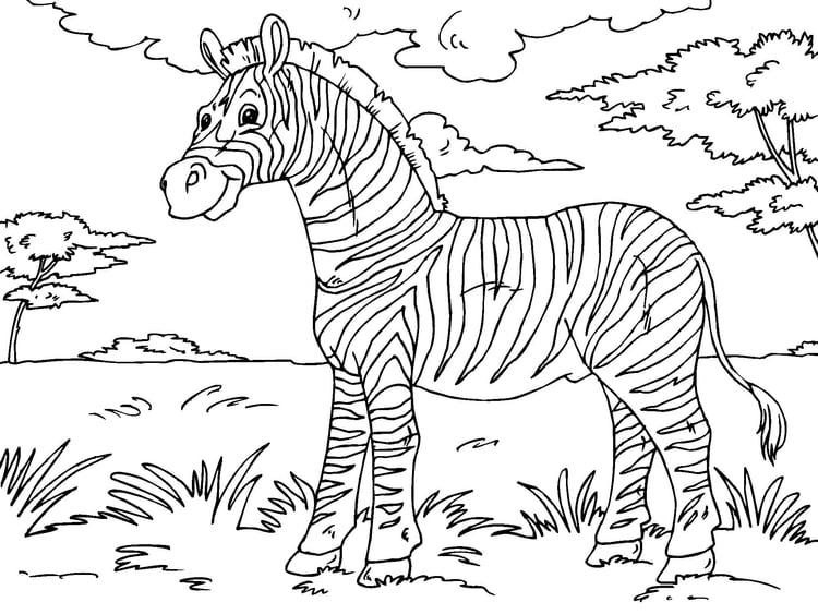 Coloring page zebra