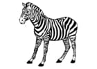 Coloring pages Zebra