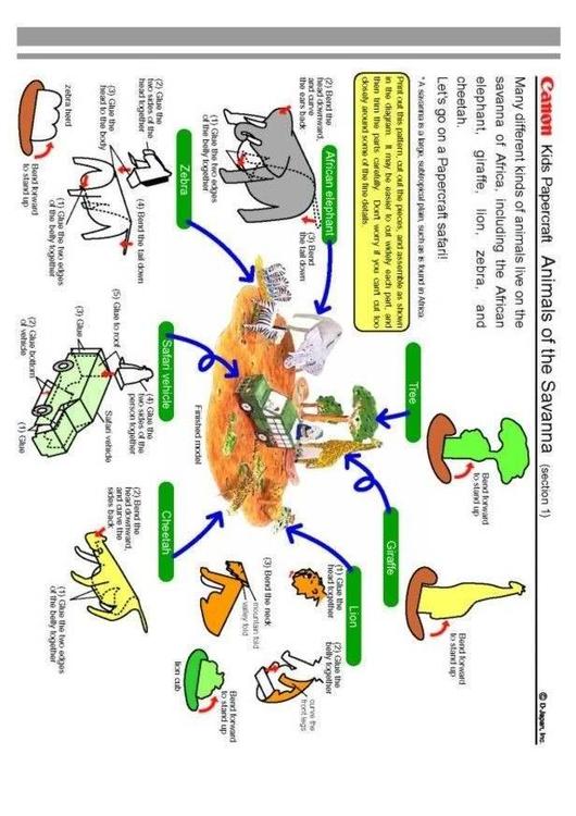 animals 1
