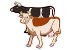 Image 2 cows