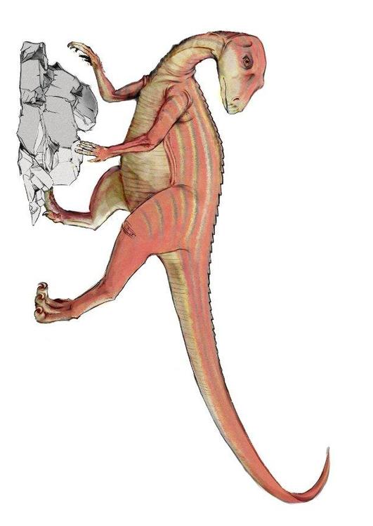 Abrictosaur dinosaur
