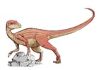 Image Abrictosaur dinosaur