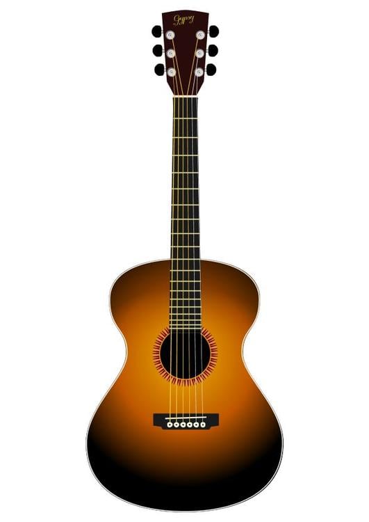 accoustic guitar