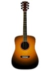 accoustic guitar