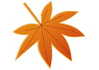 Image autumn leaf