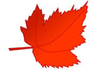 Image autumn leaf