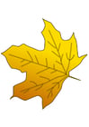 Images autumn leaf
