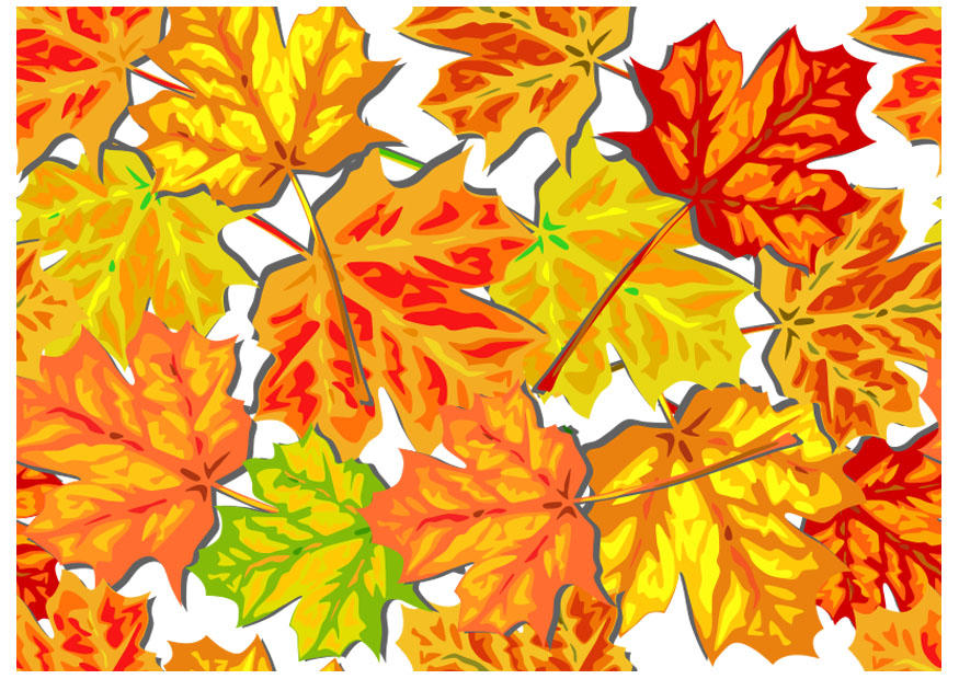 Image autumn leaves