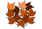 Image autumn leaves