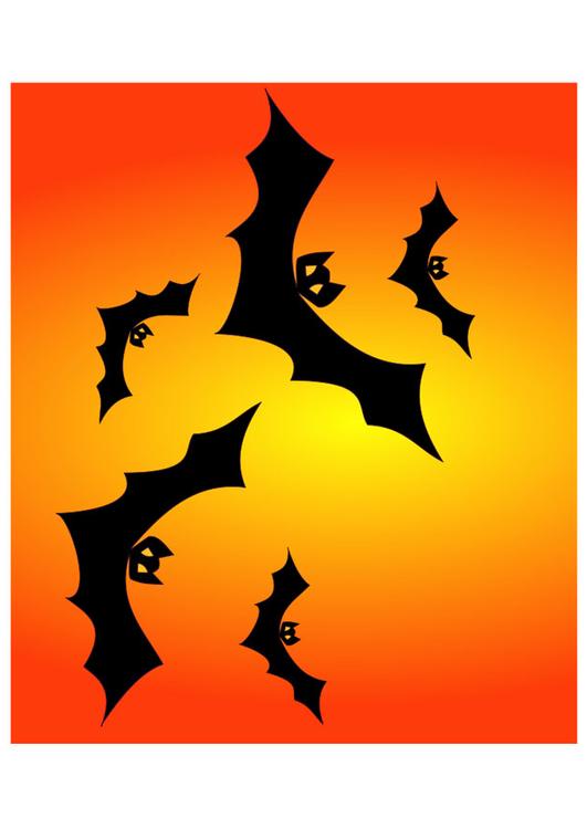 bats