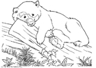 Coloring page bear