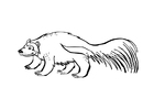Coloring page bear