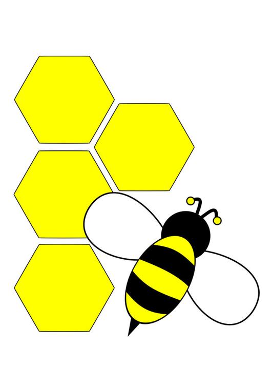 bee - back