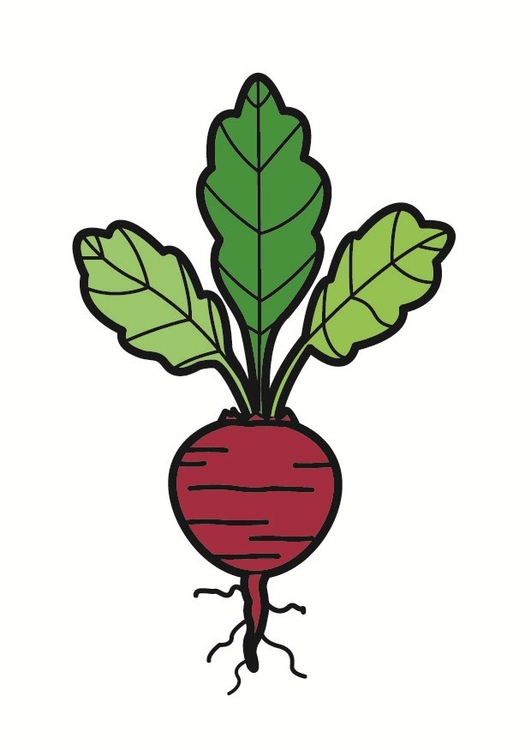 Image beetroot