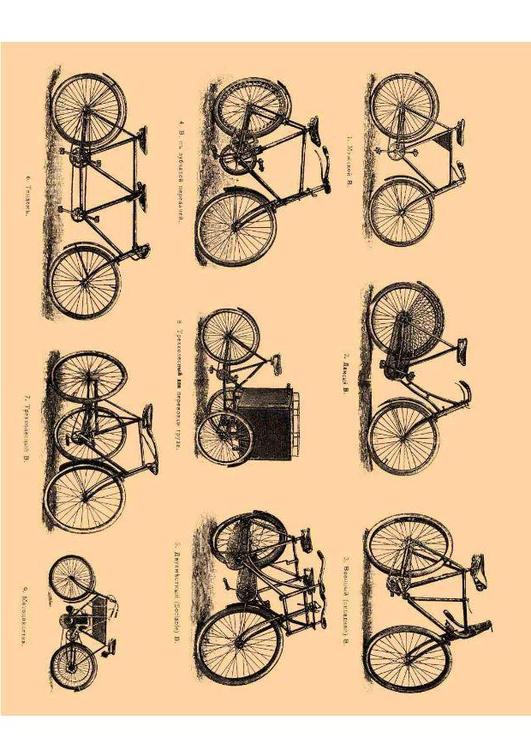 bicycles