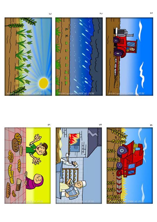 bread-making process