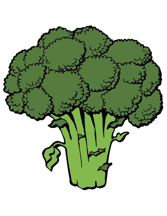 broccoli