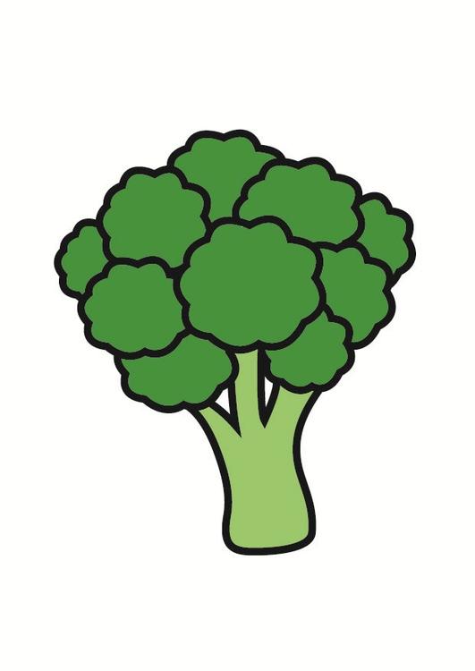 broccoli