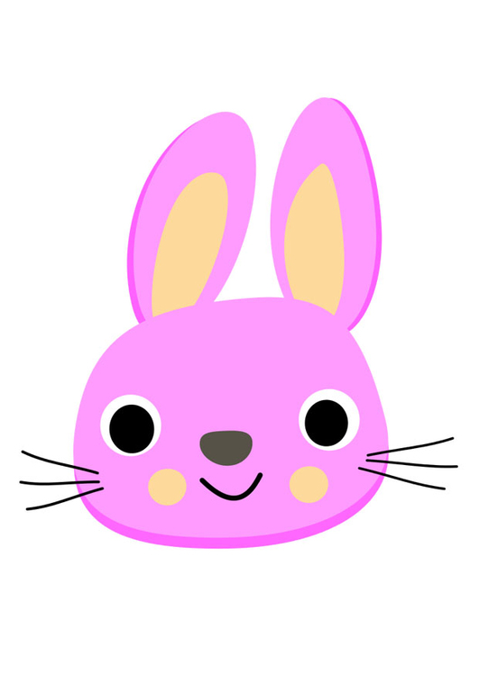 Image bunny rabbit
