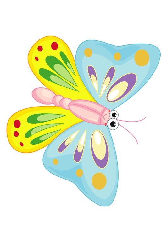 butterfly