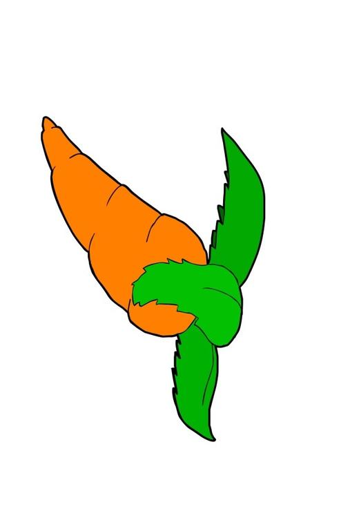 carrot