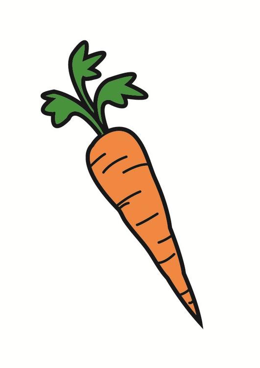 carrot