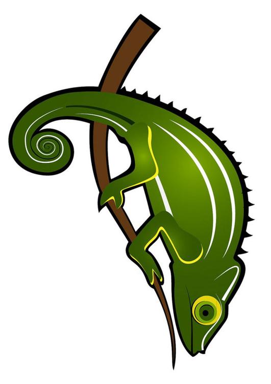 chameleon