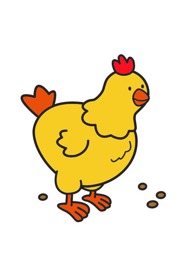 Image chicken