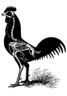 Coloring page chicken skeleton