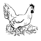 Coloring page chicken with chicks