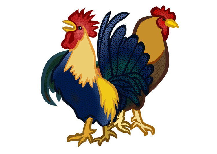 Image cockerel and hen
