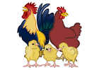 cockerel, hen and chicks