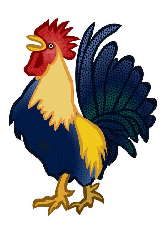 cockerel