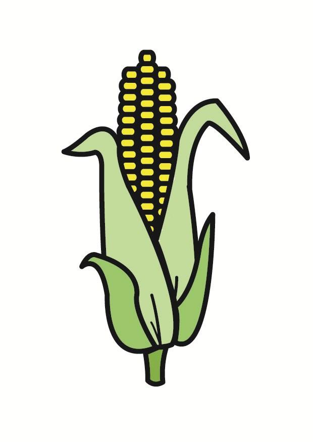Image corn