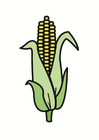 Images corn