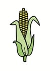 corn