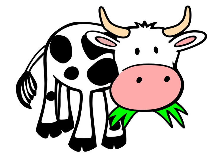 Image cow