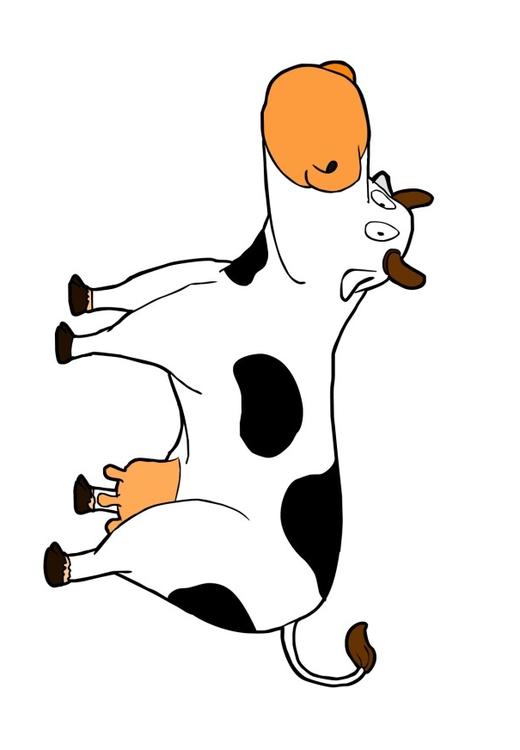 cow