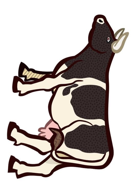 cow