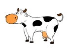 Image cow