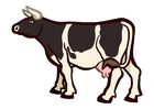 Image cow