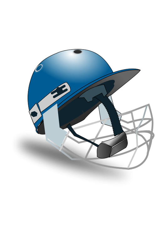 Image cricket helmet