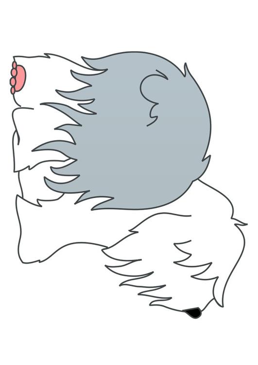 dog - bobtail